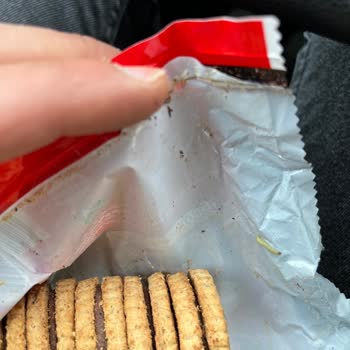 Üründe Böcek Tespiti ve Kalite Kontrol Sorunları