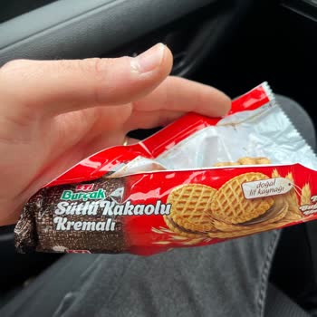Üründe Böcek Tespiti ve Kalite Kontrol Sorunları