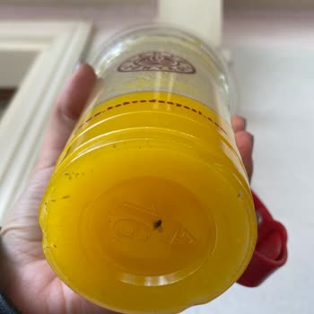 Kahve Dünyası'nda Müşteri Memnuniyetsizliği Ve İletişim Sorunları