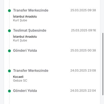 Kargolar İstanbul'u Turluyor: Teslimat Krizi