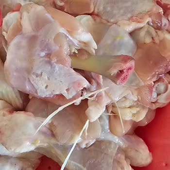 Doyfarm Tavuklarında Tüy Ve Koku Sorunu!