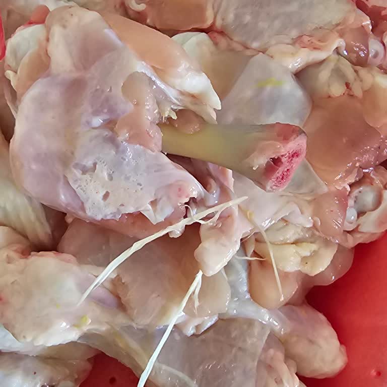 Doyfarm Tavuklarında Tüy Ve Koku Sorunu!