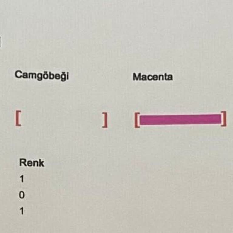 HP Smart Tank 515: Pembe Baskı Sorunu!