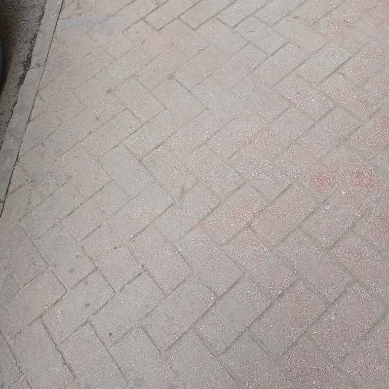 Sigorta İptalinde Yaşanan Zorluk