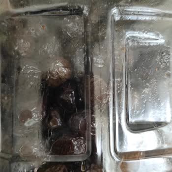 Küflü Zeytin Ve Yetersiz Çözüm