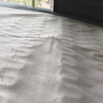 Garanti Süresinde Çöken Koltuk Ve Ulaşım Sorunu