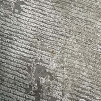 Halı Yıkamada Hayal Kırıklığı: Leke Ve İletişim Sorunu