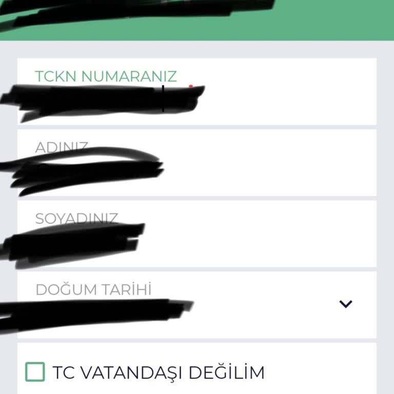 Multinet Kart Ödeme Sorunu: Kimlik Bilgileri Hatası
