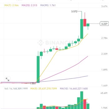 I Got Liquidated on Binance Despite Being Far from My Leverage Stop Price