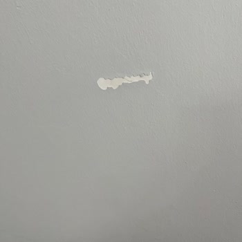 Bohem Düğün Takımıyla Gelen Hayal Kırıklığı