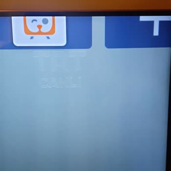 Grundig Televizyonumda Tekrarlayan Ekran Yanması Sorunu