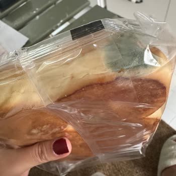 Küflü Ekmek Teslimatı Ve Sağlık Riski