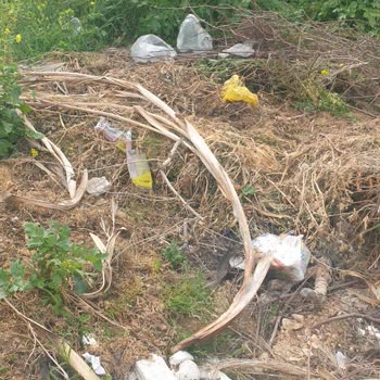 Çöp Bidonunun Kaldırılması Mahallede Gerginlik Yaratıyor