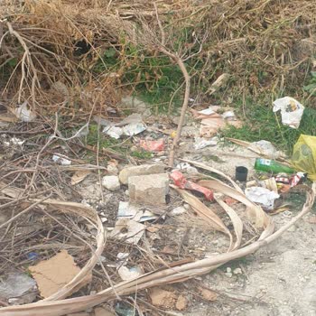 Çöp Bidonunun Kaldırılması Mahallede Gerginlik Yaratıyor