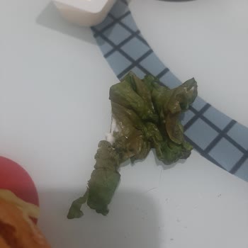 Sipariş Hataları Ve Özensiz Sunum