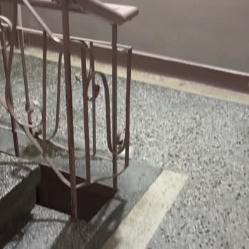 Apartmanda Kedi Sorunu: Koku Ve Güvenlik Endişesi