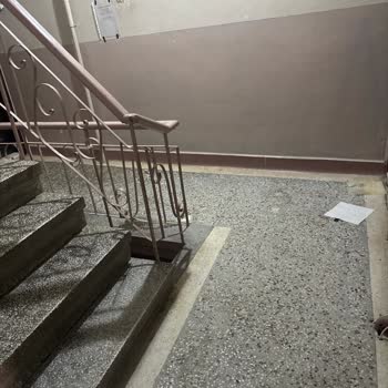 Apartmanda Kedi Sorunu: Koku Ve Güvenlik Endişesi