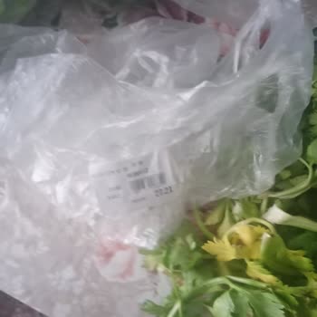 Çürük Kereviz Yaprakları Ve Haksız Ücretlendirme