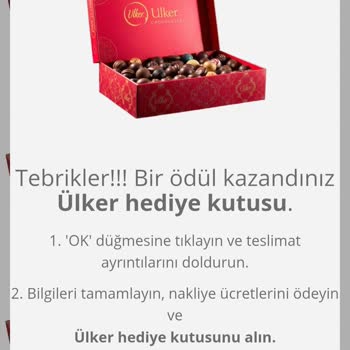 Bilinmeyen Yabancı İşlem Şoku