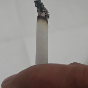 Sigara Kalitesindeki Düşüş Ve Müşteri Hizmetleri Eksikliği