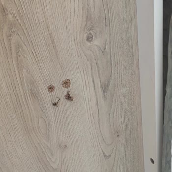 Özel Depolama Alanıma İzinsiz Giriş Ve Eşya Hasarı