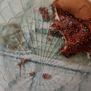 Bonfilet Steak Burger Köftesinde Sinir Sorunu