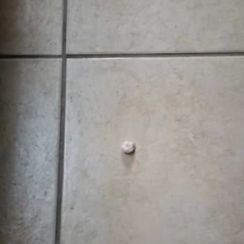 Çevre Ve Şehircilik Bakanlığı Balkonuma Atılan Çöpler Ve İzmaritler: Acil Müdahale Bekliyorum!