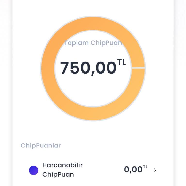 Chippin Puan Sorunu: Kullanılamayan 750 TL