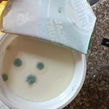 Son Tüketim Tarihi Geçmemiş Yoğurt Küflü Çıktı