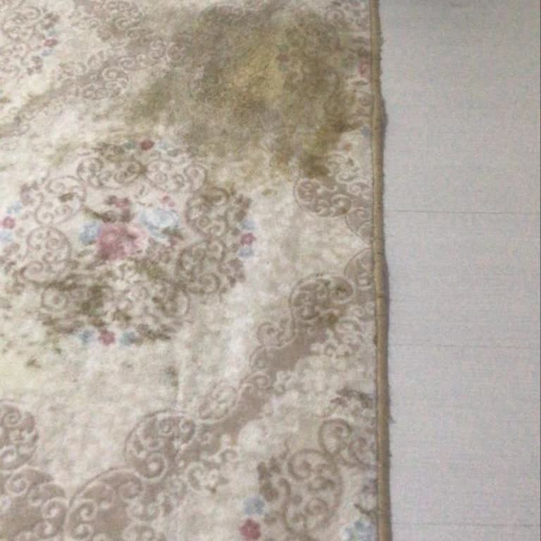 Halı Yıkama Hizmetinde Yağ Lekesi Sorunu