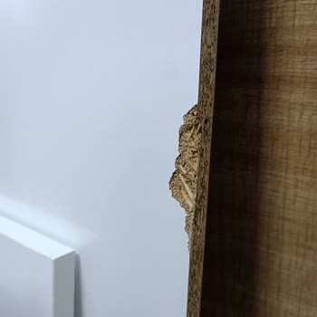 Koçtaş'tan Aldığım Dolap Hayal Kırıklığı Yarattı