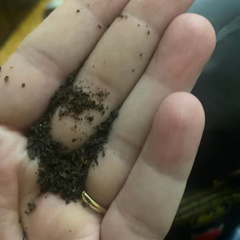 Çaykur Altınbaş Klasik Çay: Beklentilerin Altında Kalan Bir Deneyim