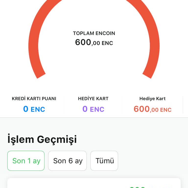 Kredi Kartı İadesi Yerine Encoin Yüklenmesi Sorunu