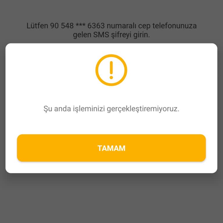 Uygulama Erişim Sorunu Ve Müşteri Hizmetleri Yanıtı