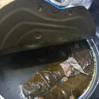 Tukaş Yaprak Sarmada Şok Edici Plastik Tehlikesi