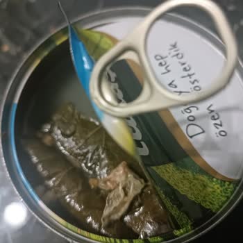 Tukaş Yaprak Sarmada Şok Edici Plastik Tehlikesi