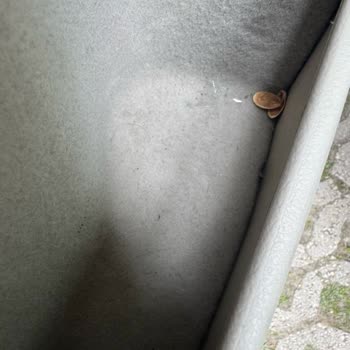 Skoda Servisinde Hayal Kırıklığı: Araç Teslimatı Ve Temizlik Sorunları