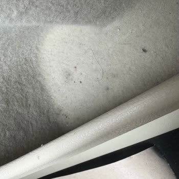 Skoda Servisinde Hayal Kırıklığı: Araç Teslimatı Ve Temizlik Sorunları