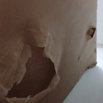 Yırtık Ürün Ve İlgisizlik: Müşteri Mağduriyeti