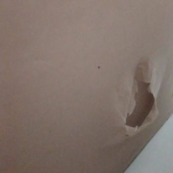 Yırtık Ürün Ve İlgisizlik: Müşteri Mağduriyeti