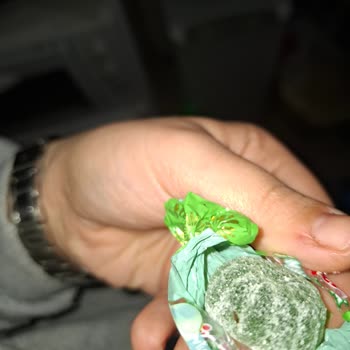 Ülker Şekerinde Böcek Şoku: Sağlık Riski!