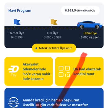 Opetpay Sistemi Ve DGPays İle Yaşanan Hesap Erişimi Sorunu