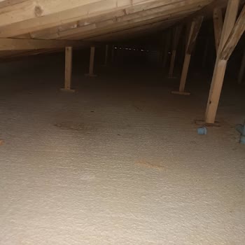 Küf Ve Kötü Koku Sağlığımı Tehdit Ediyor