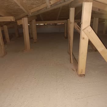 Küf Ve Kötü Koku Sağlığımı Tehdit Ediyor