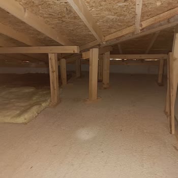 Küf Ve Kötü Koku Sağlığımı Tehdit Ediyor