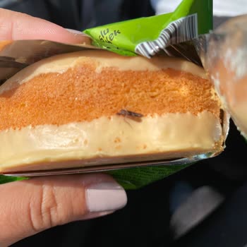 Limonlu Pop Kek Kabusu: Sinek Şoku Ve İletişimsizlik