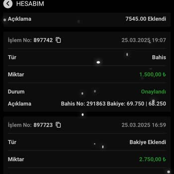 Winsgame Paramı Çekemedim