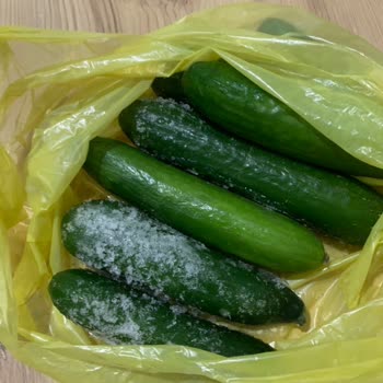 Vestel Buzdolabı Sorunu Ve Değişim Talebi