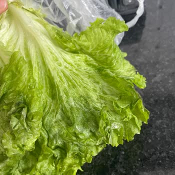 Vestel Buzdolabı Sorunu Ve Değişim Talebi