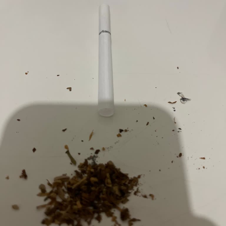 Parliament Midnight Blue: Kalite Düşüşü